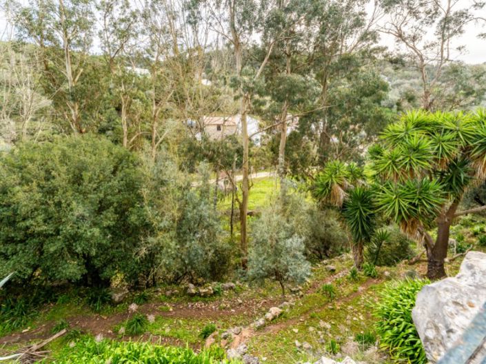 Image No.28-4 Bed House for sale