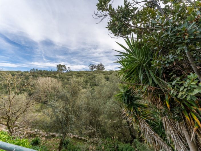 Image No.32-4 Bed House for sale