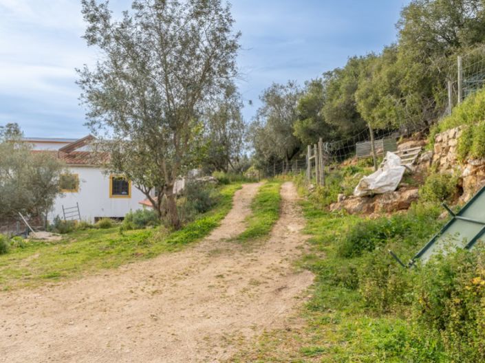 Image No.33-4 Bed House for sale