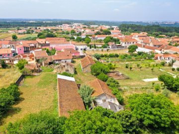 idd16e6d01-0000-0500-0000-00001185f9fb