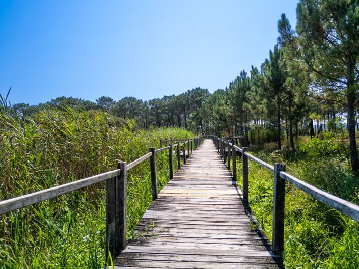 Image No.45-4 Bed House for sale