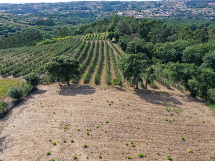 Image No.14-Plot for sale