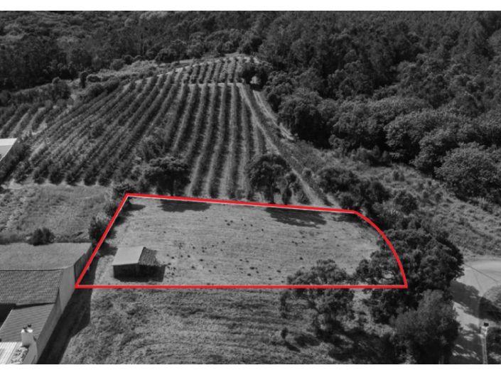 Image No.15-Plot for sale