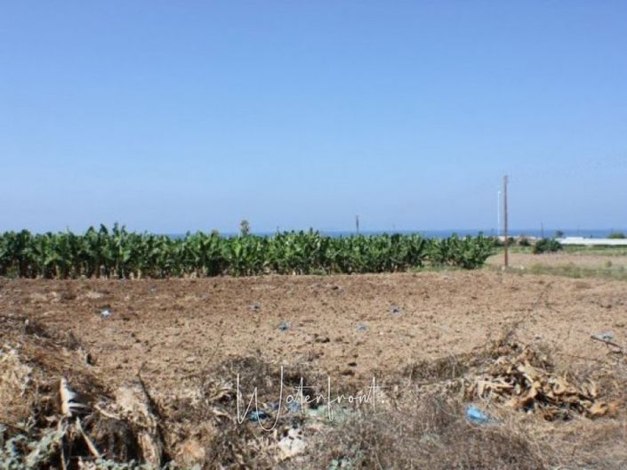 Image No.2-Terrain à vendre à Kissonerga