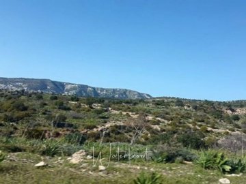 22904-big-plot-of-land-for-sale-in-pegia-area