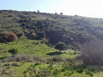 22905-big-plot-of-land-for-sale-in-pegia-area