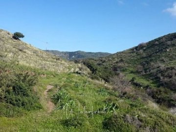 22906-big-plot-of-land-for-sale-in-pegia-area