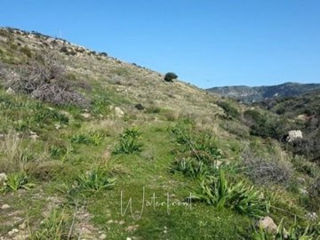 22907-big-plot-of-land-for-sale-in-pegia-area