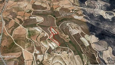 124682-agricultural-land-for-sale-in-pano-aro