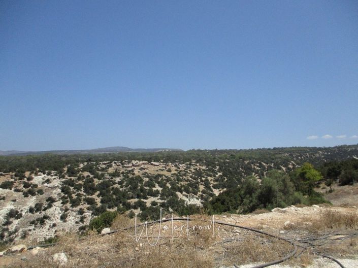 Image No.4-Villa de 5 chambres à vendre à Peyia