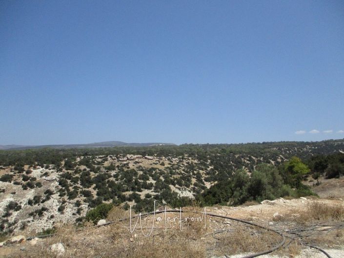 Image No.4-6 Bed Villa for sale