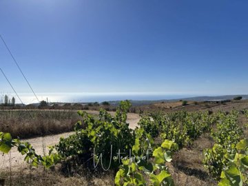 171025-residential-land-for-sale-in-kathikasf