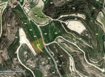 185457-agricultural-land-for-sale-in-tsadaful