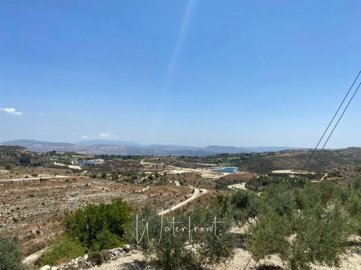 185460-agricultural-land-for-sale-in-tsadaful