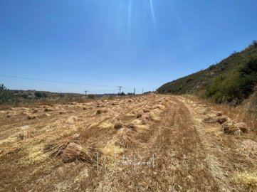 185461-agricultural-land-for-sale-in-tsadaful