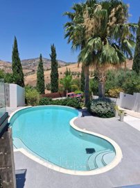 196384-detached-villa-for-sale-in-choletriafu