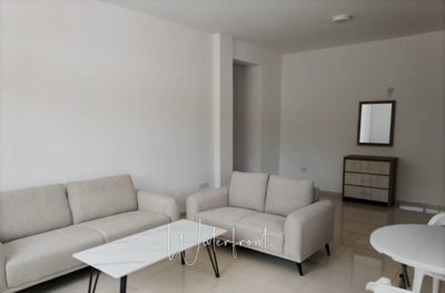 197207-apartment-for-sale-in-mesoyifull