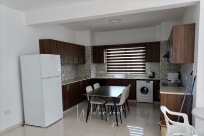 197209-apartment-for-sale-in-mesoyifull