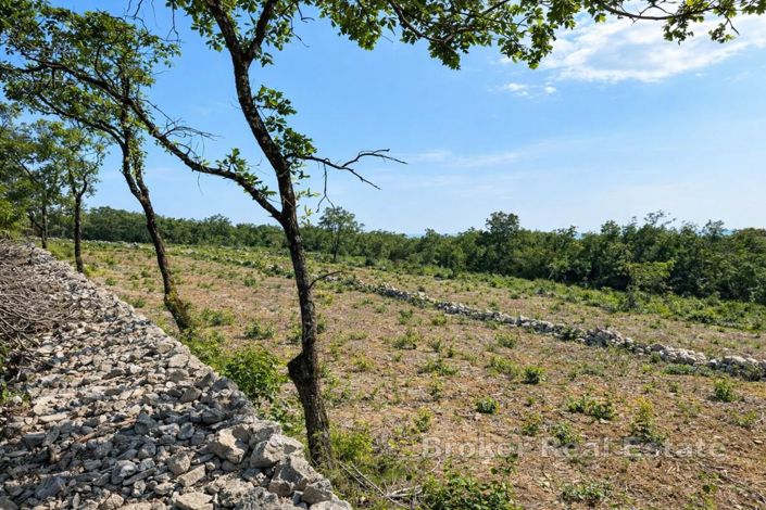 Image No.2-Land for sale