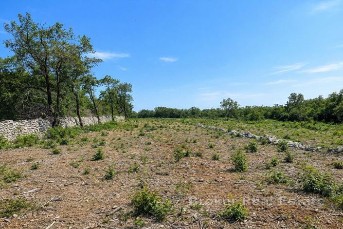 Image No.3-Land for sale