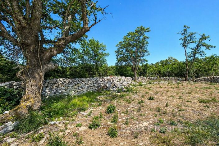 Image No.6-Land for sale