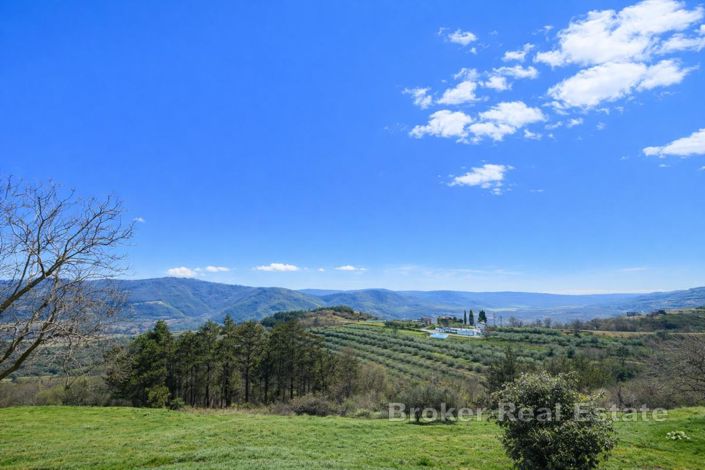 Image No.12-Terre à vendre à Pazin