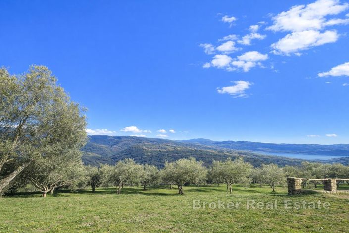 Image No.13-Terre à vendre à Pazin