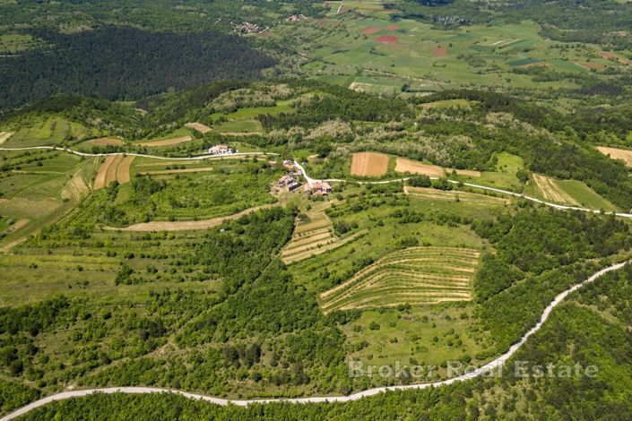 Image No.3-Villa à vendre à Pazin
