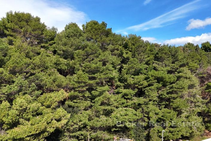 Image No.3-Land for sale