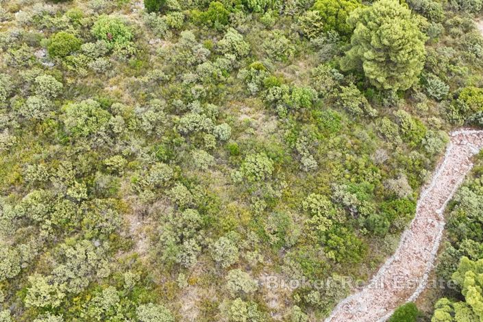 Image No.6-Terre à vendre à Dubrovnik