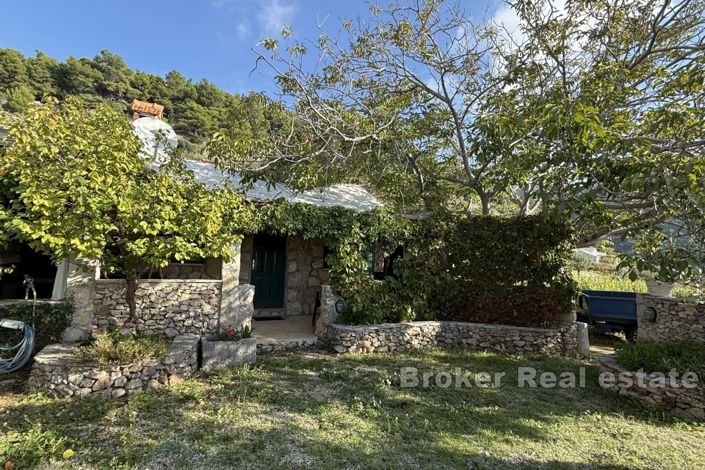 Image No.6-Terre à vendre à Brac