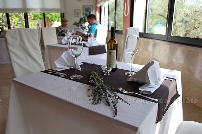 Image No.9-24 Bed Hotel for sale