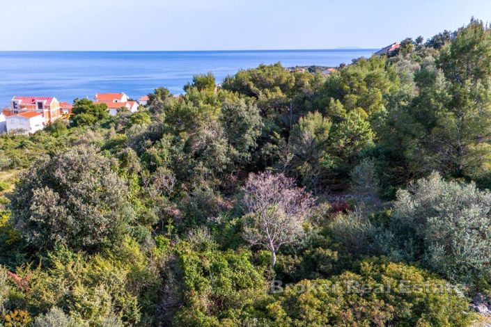 Image No.2-Land for sale