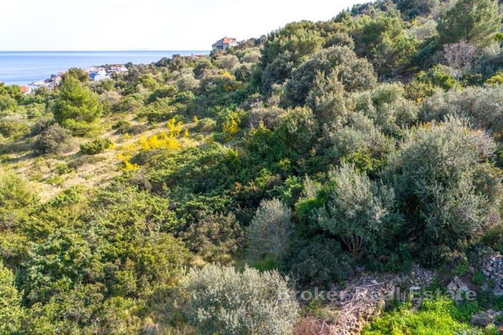 Image No.3-Land for sale