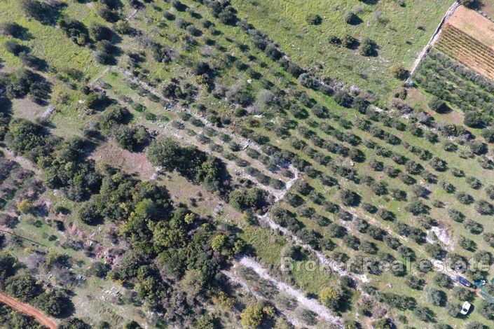 Image No.3-Terre à vendre à Marina