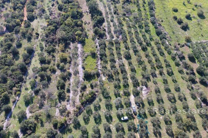 Image No.4-Terre à vendre à Marina