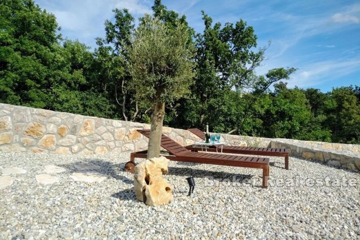 Image No.17-Villa de 5 chambres à vendre à Primorje-Gorski Kotar