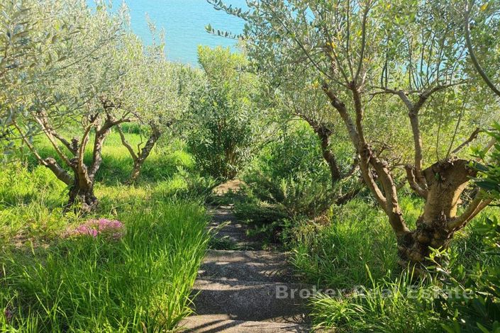 Image No.5-Land for sale