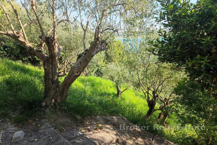 Image No.6-Land for sale