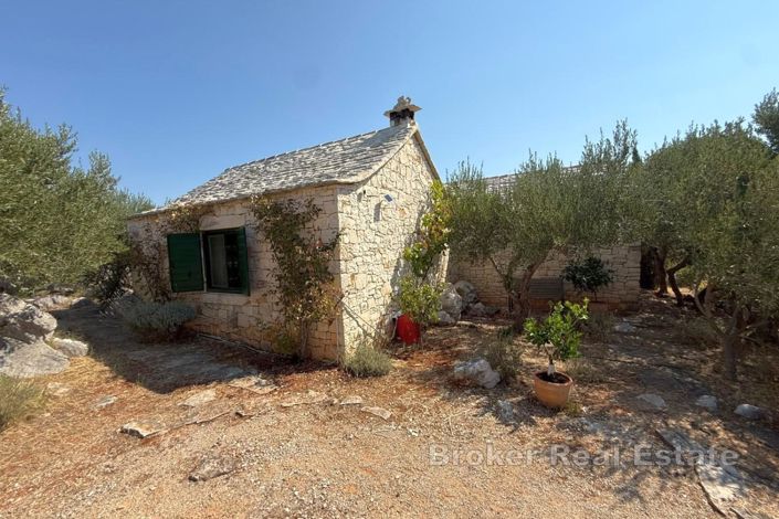 Image No.11-Villa de 1 chambre à vendre à Brac