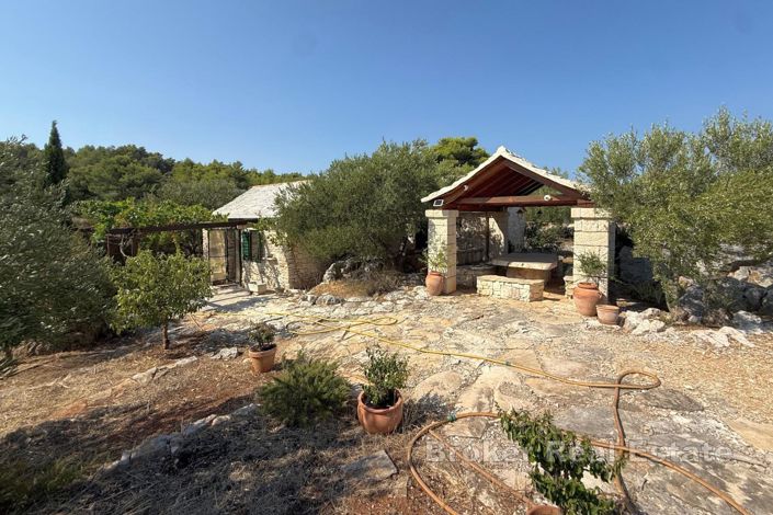 Image No.19-Villa de 1 chambre à vendre à Brac