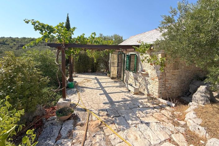 Image No.20-Villa de 1 chambre à vendre à Brac