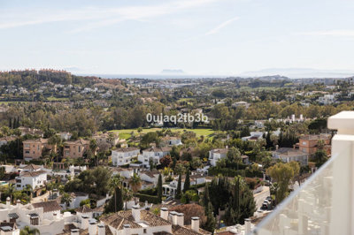 5-3595ad71cbd87be6c3643a4285ef4791