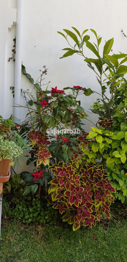 Image No.29-Villa de 5 chambres à vendre à Estepona