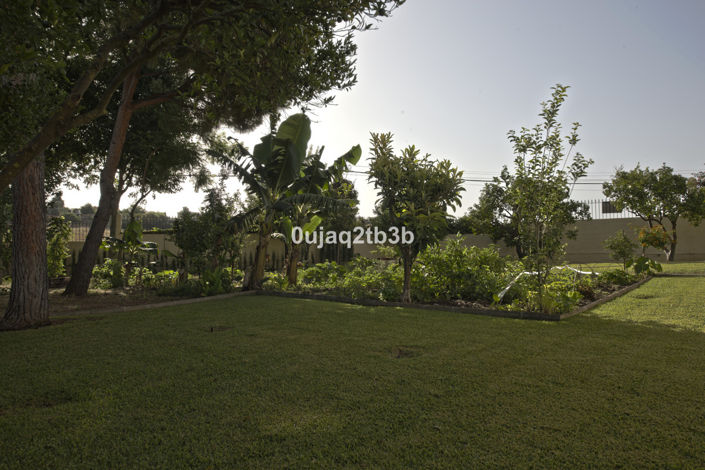 Image No.8-Villa de 5 chambres à vendre à Estepona