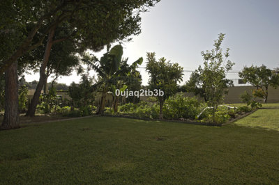 8-e64a9055bba3e77ac8aca3b893cdf826