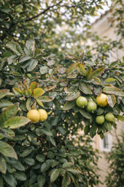 15-11d12f2f454f2f5e9b981fdd8b901d51