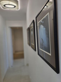 12-53013098fcab6c38b1379cd33298e050