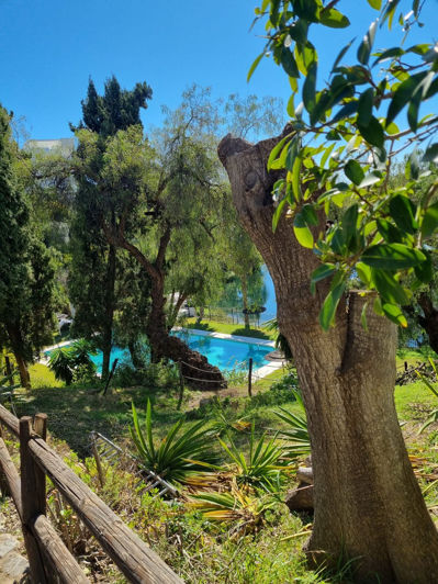 Image No.16-Appartement de 2 chambres à vendre à La Quinta