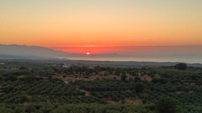20250903-DJI_0032